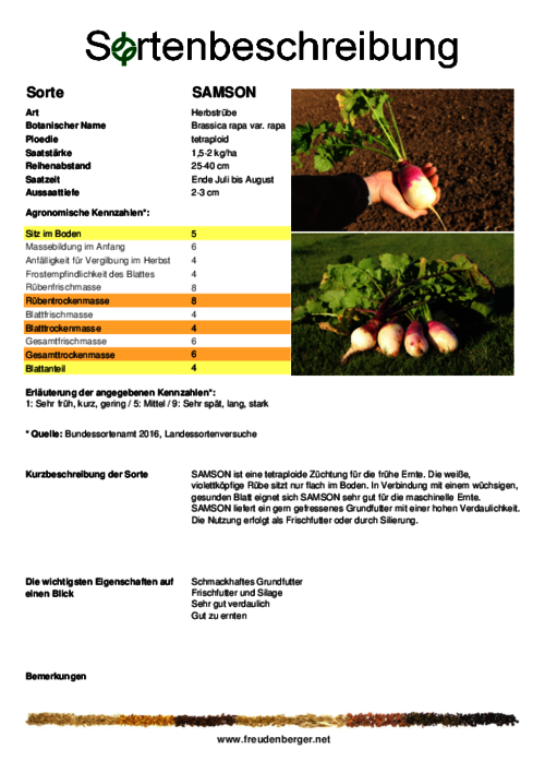 Sortenbeschreibung_SAMSON.pdf