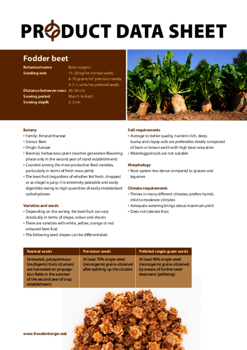 FF_Product_Data_Sheet_Fodder_beet.pdf