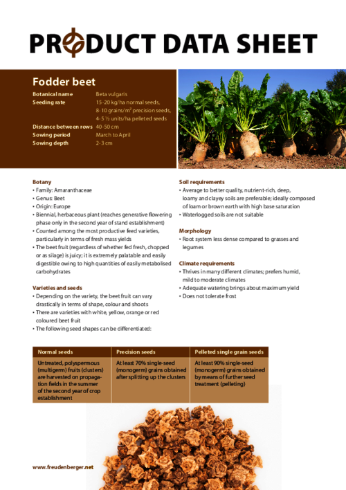 FF_Product_Data_Sheet_Fodder_beet.pdf