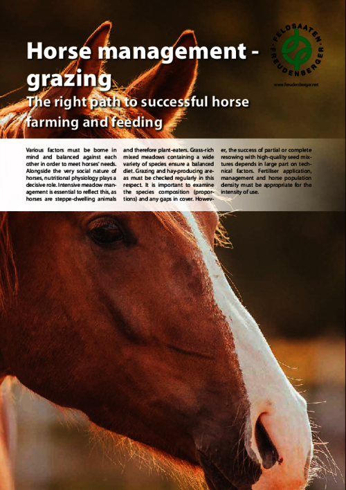 Article_Horse_management_grazing.pdf