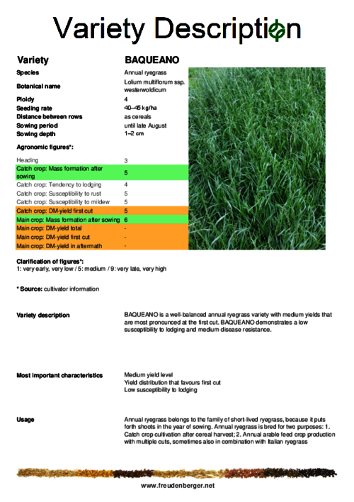 Variety_description_BAQUEANO.pdf Variety_description_BAQUEANO.pdf