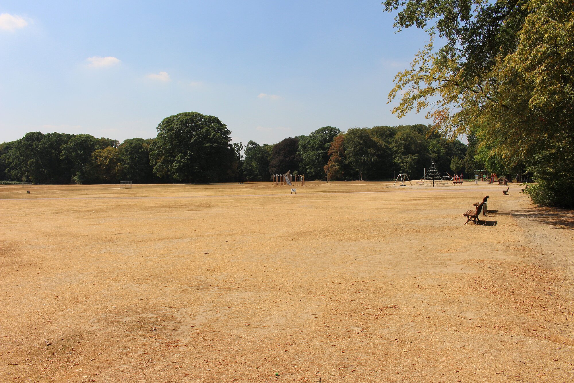 Trockenheit_Park__37_.jpg Trockenheit_Park__37_.jpg