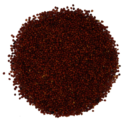 Pfeilblaettriger_Klee_Saatgut.png Pfeilblaettriger_Klee_Saatgut.png