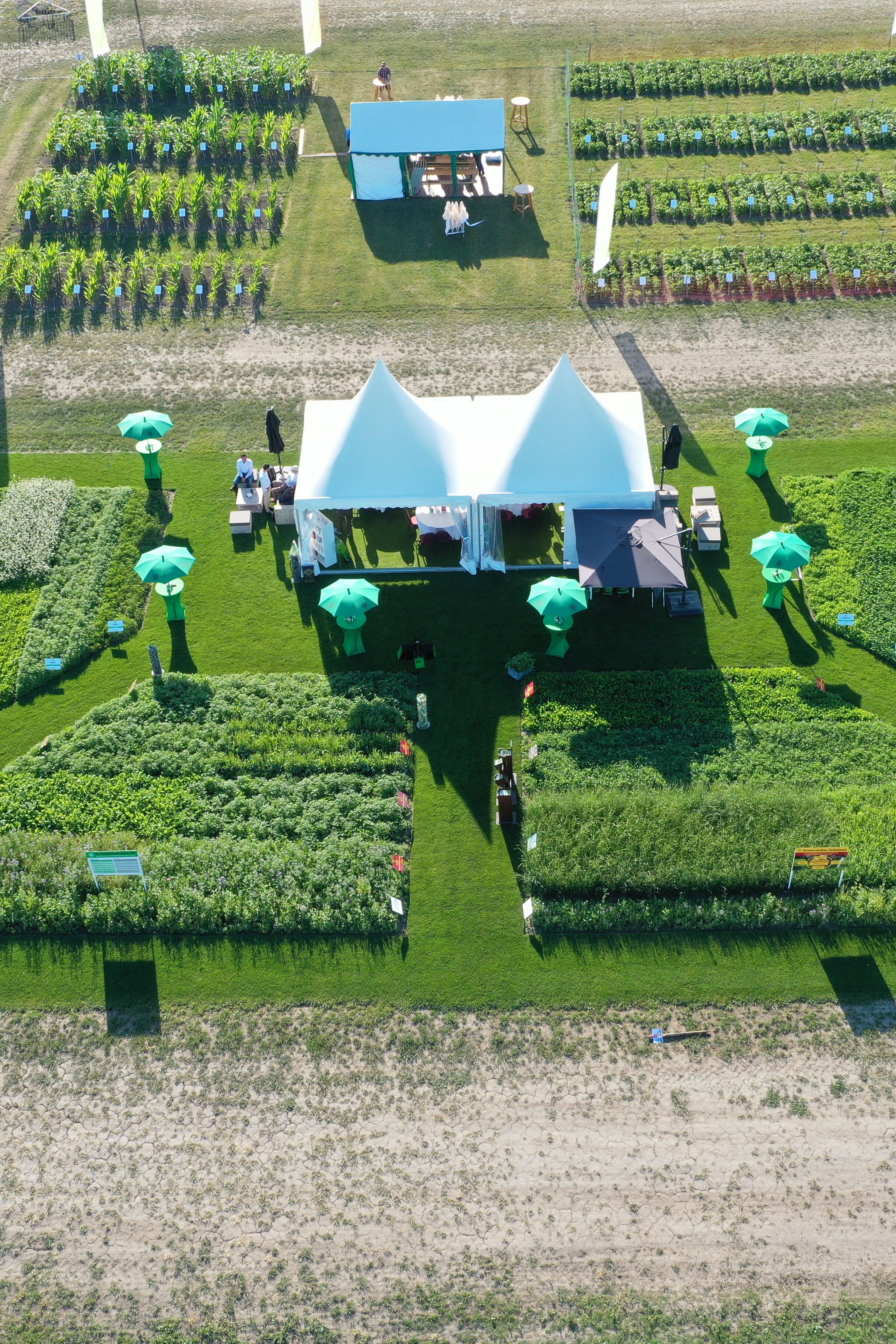 DJI_0034.JPG