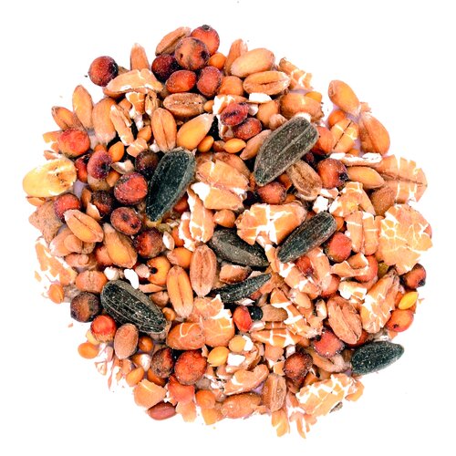 Energie-Winterfutter_rund_5cm.jpg