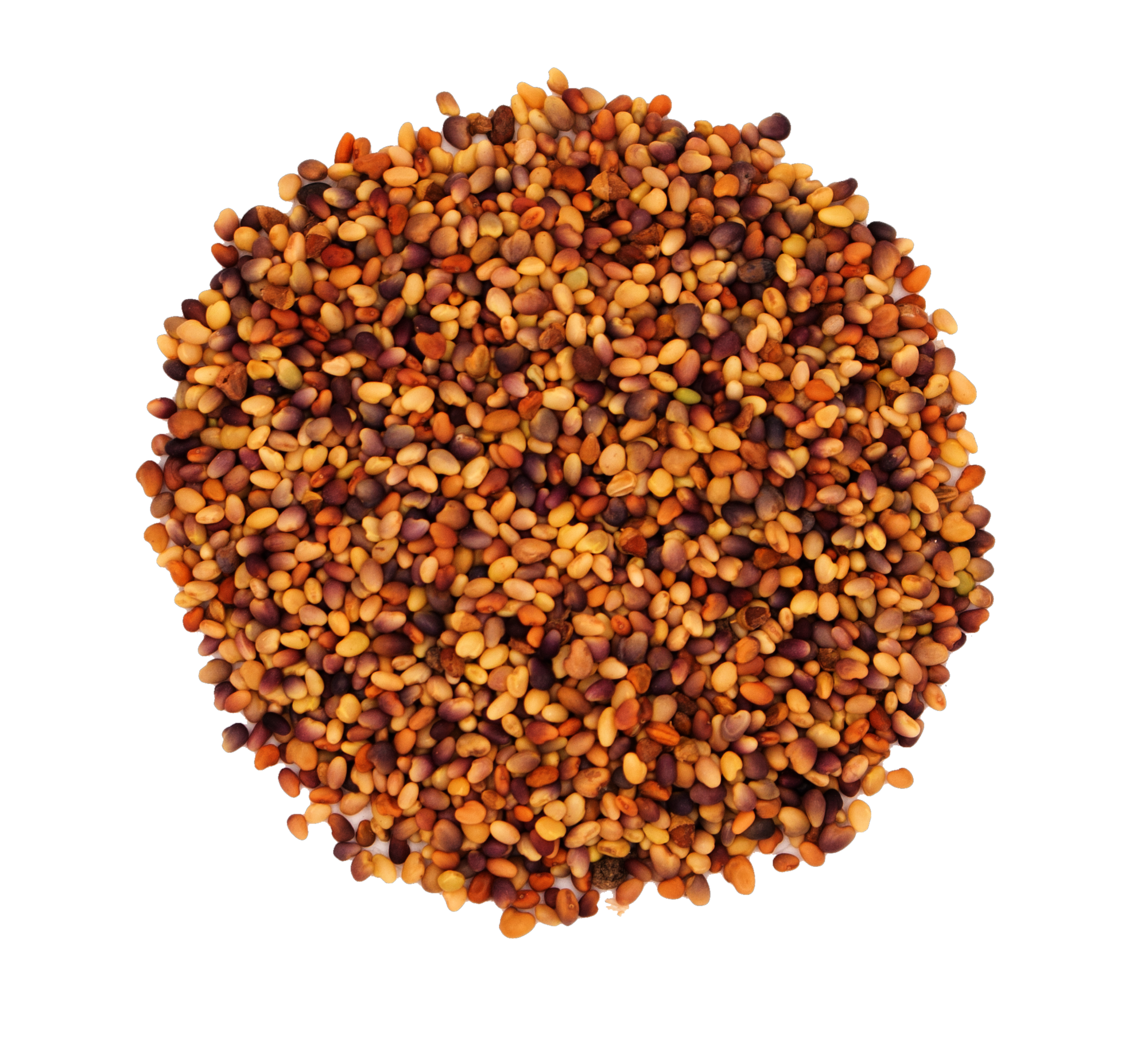 Rotklee__1_.png Rotklee__1_.png