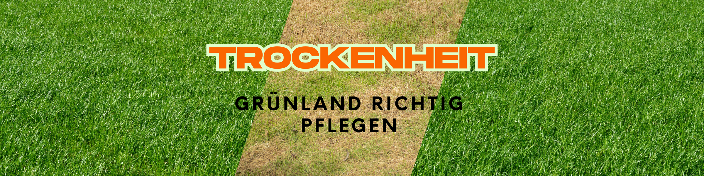 Header_LW_Trockenheit_Gruenlandpflege.png