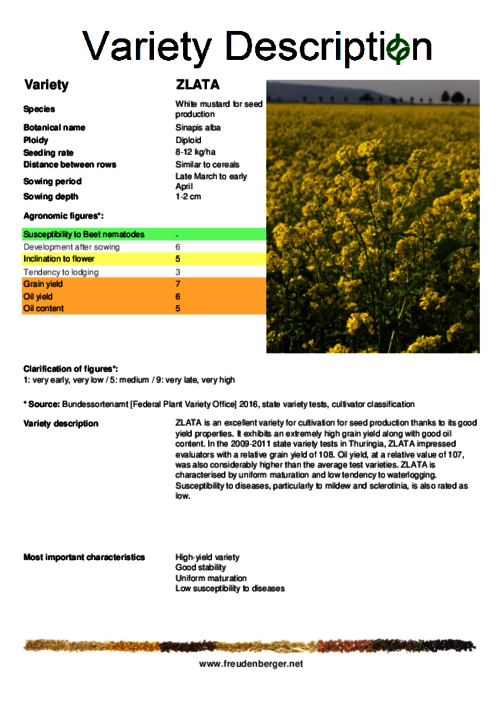 Variety_description_ZLATA_for_seed_production.pdf