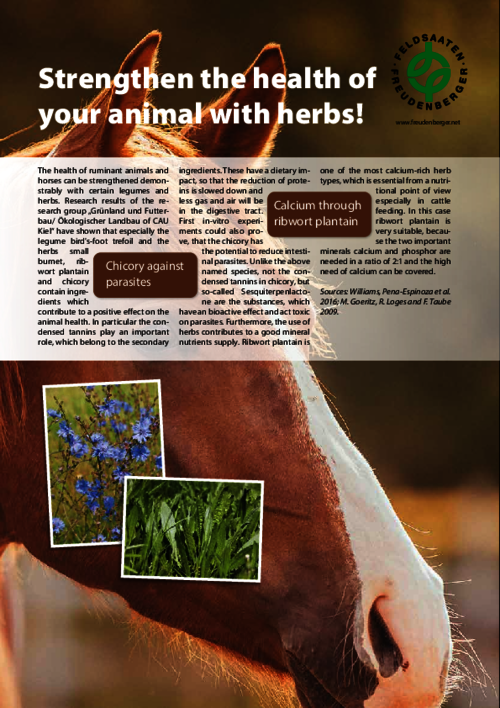 Article_Strengthen_the_health_of_your_animal_with_herbs.pdf