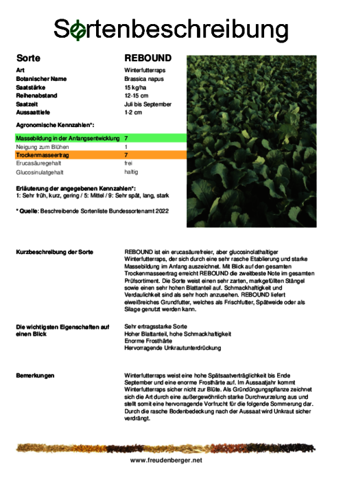 Sortenbeschreibung_REBOUND.pdf