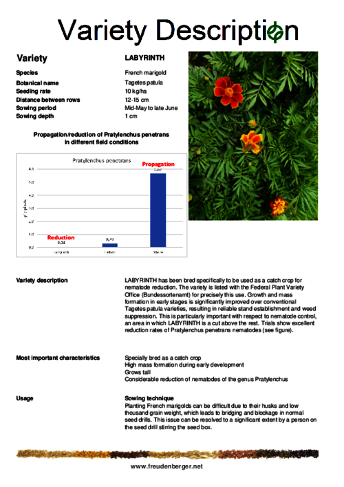 Variety_description_LABYRINTH.pdf