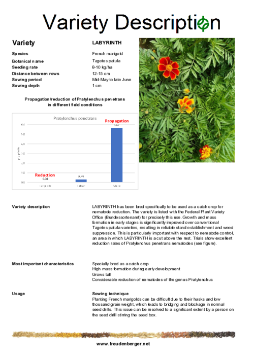 Variety_description_LABYRINTH.pdf