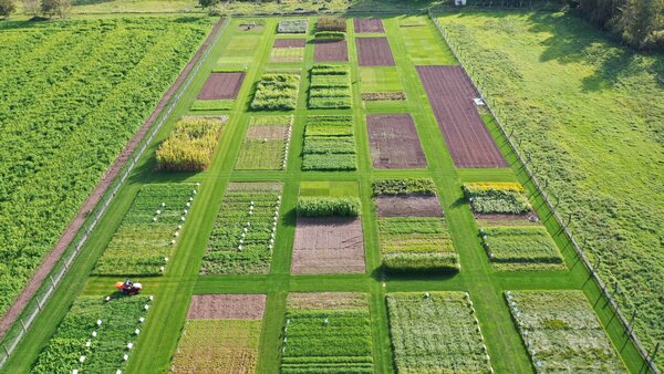 DJI_0342.JPG