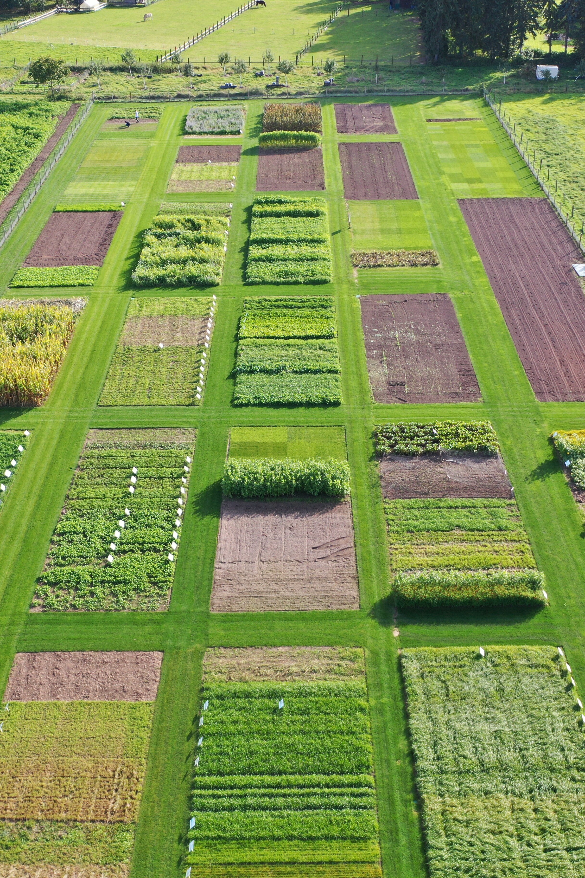 DJI_0342.JPG