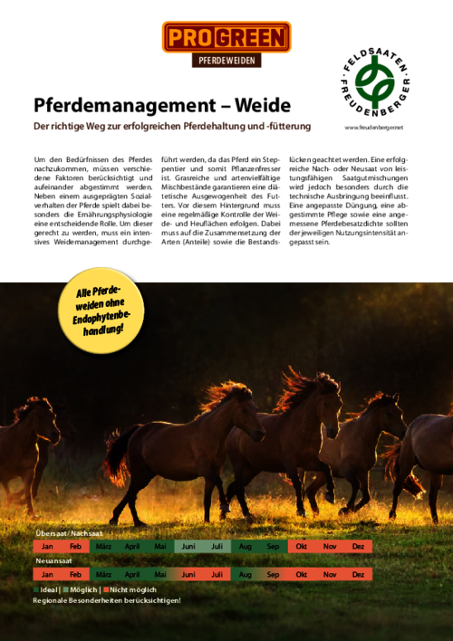 Artikel_ProGreen_Pferdemanagement-Weide.pdf