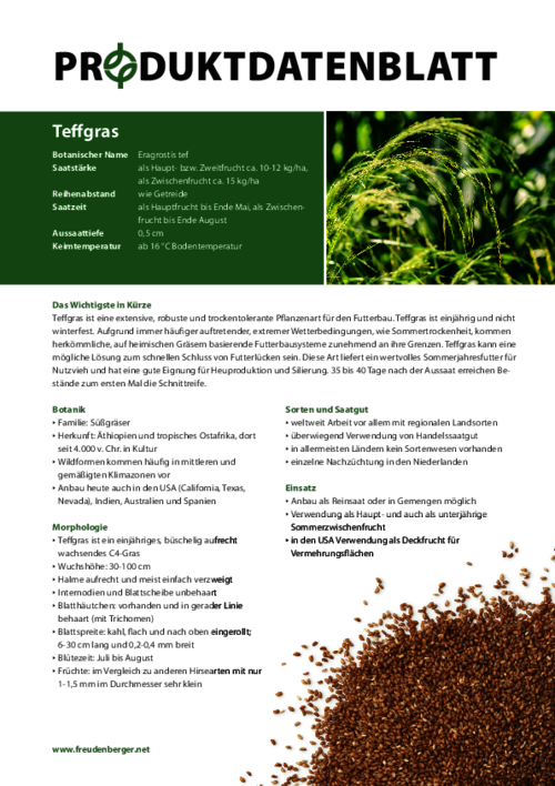 FF_Produktdatenblatt_Teffgras.pdf