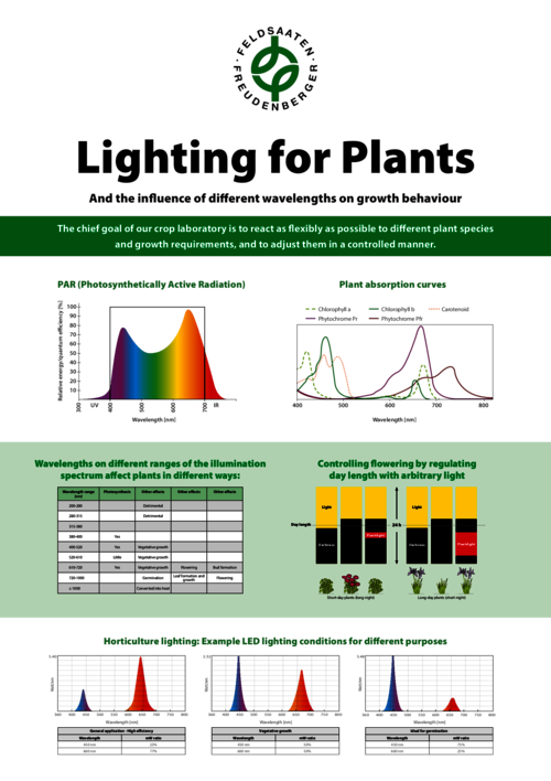 FF_Poster_Lighting_for_plants.pdf