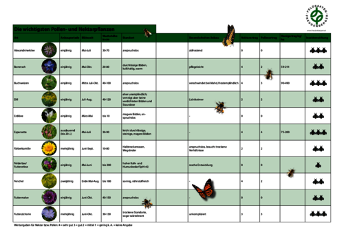 Artikel_Die_wichtigsten_Pollen-_und_Nektarpflanzen.pdf