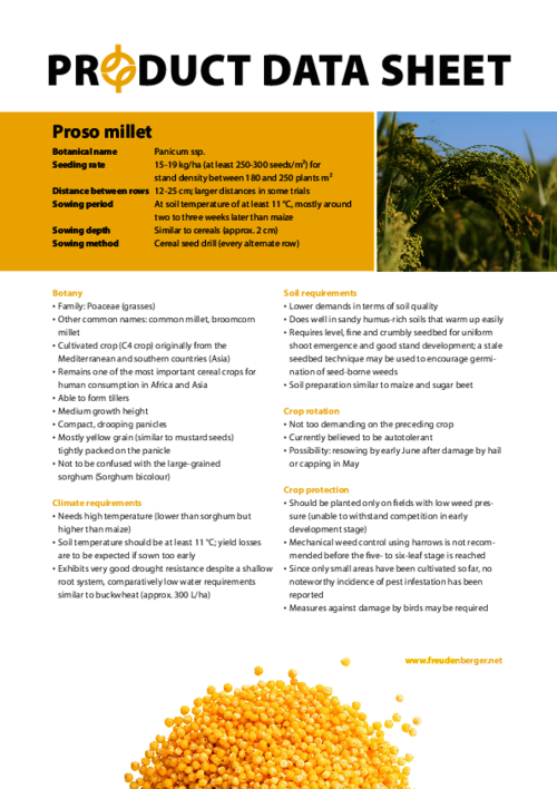 FF_Product_Data_Sheet_Proso_millet.pdf