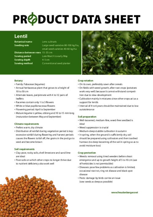 FF_Product_Data_Sheet_Lentil.pdf