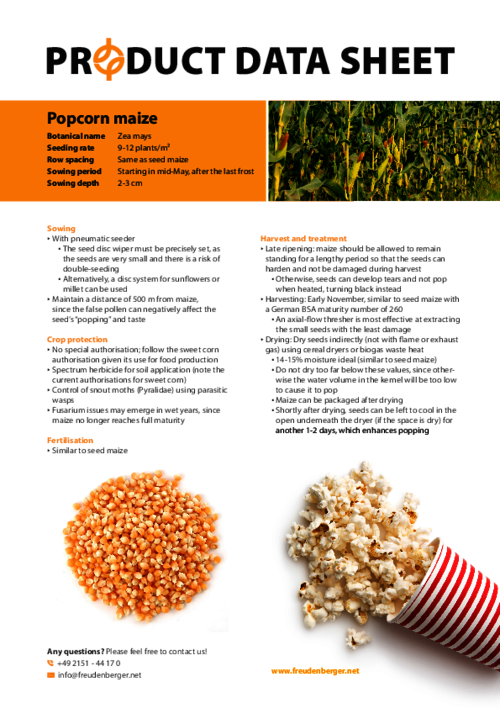 FF_Product_Data_Sheet_Popcorn_maize.pdf