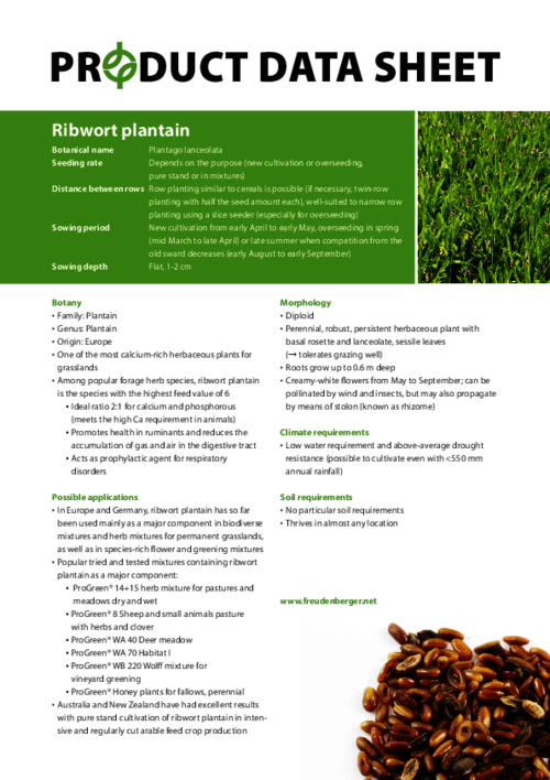 FF_Product_Data_Sheet_Ribwort_plantain.pdf