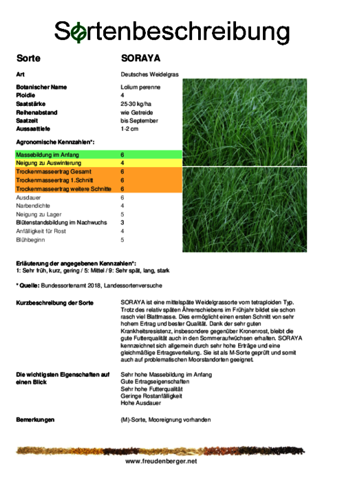 Sortenbeschreibung_SORAYA.pdf