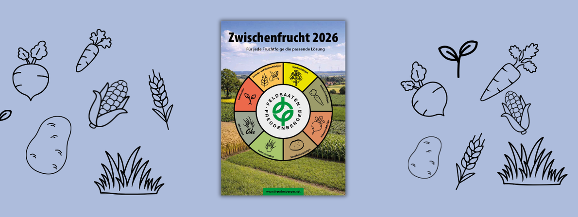 News_ZWF-Prospekt_2026.png