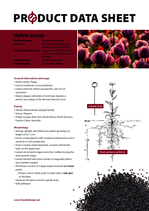 FF_Product_Data_Sheet_Opium_poppy.pdf
