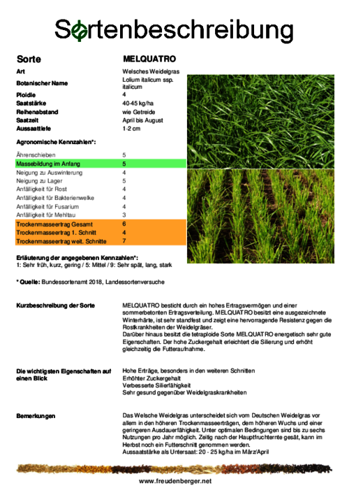 Sortenbeschreibung_MELQUATRO.pdf