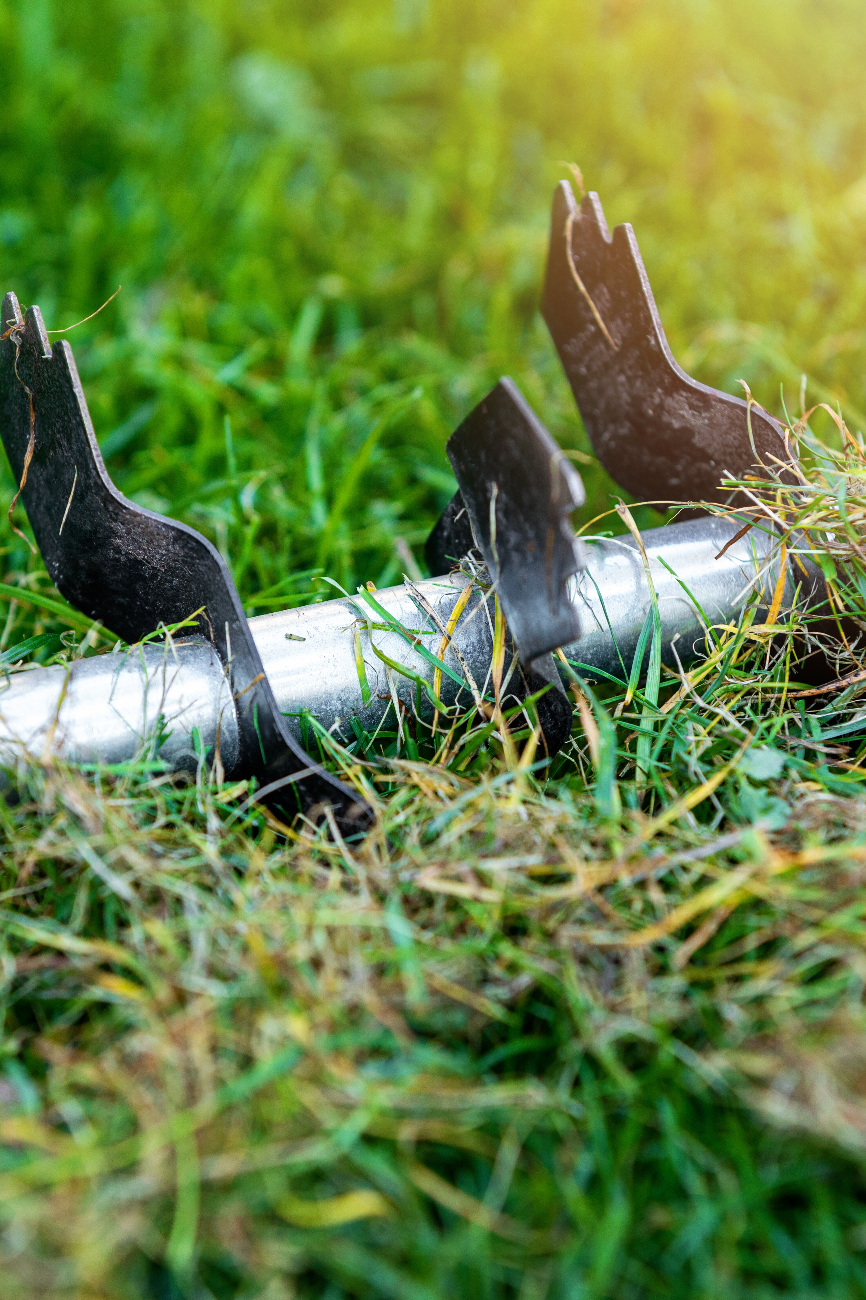 shutterstock_1724022148.jpg