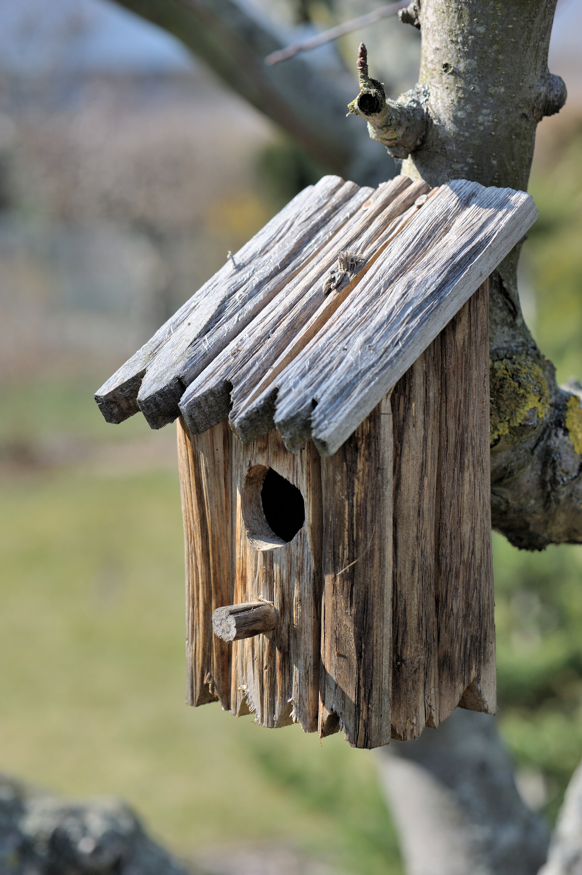AdobeStock_31111828.jpeg AdobeStock_31111828.jpeg