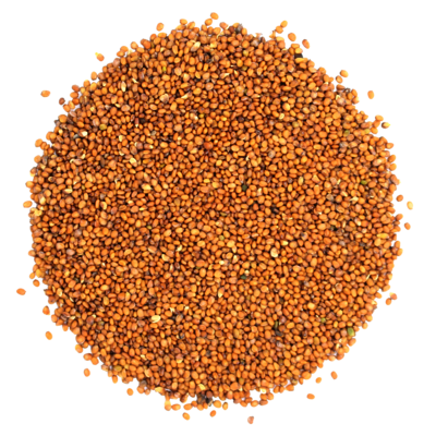 OElrauke_Saatgut.png OElrauke_Saatgut.png