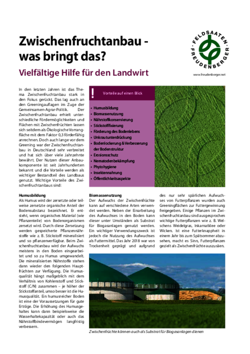 Artikel_Zwischenfruchtanbau_was_bringt_das.pdf