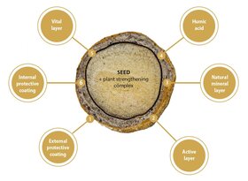 Coated_Seed.JPG Coated_Seed.JPG