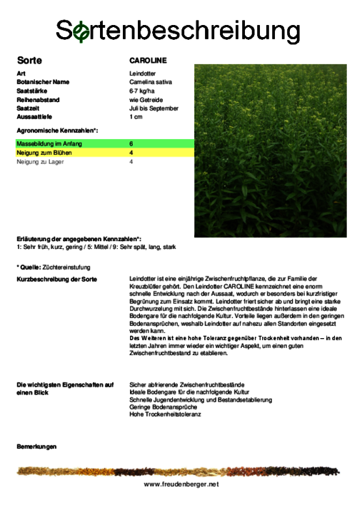 Sortenbeschreibung_CAROLINE.pdf