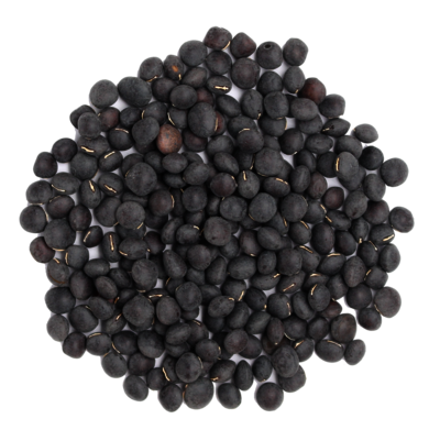 Bengalische_Wicke_Saatgut.png Bengalische_Wicke_Saatgut.png