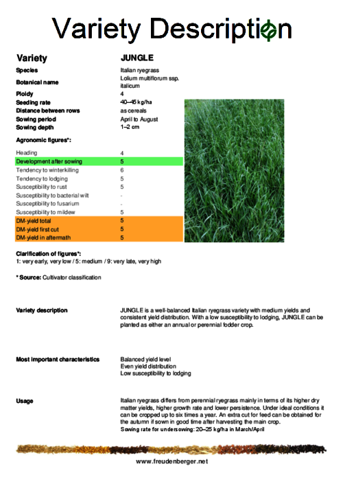Variety_description_JUNGLE.pdf Variety_description_JUNGLE.pdf
