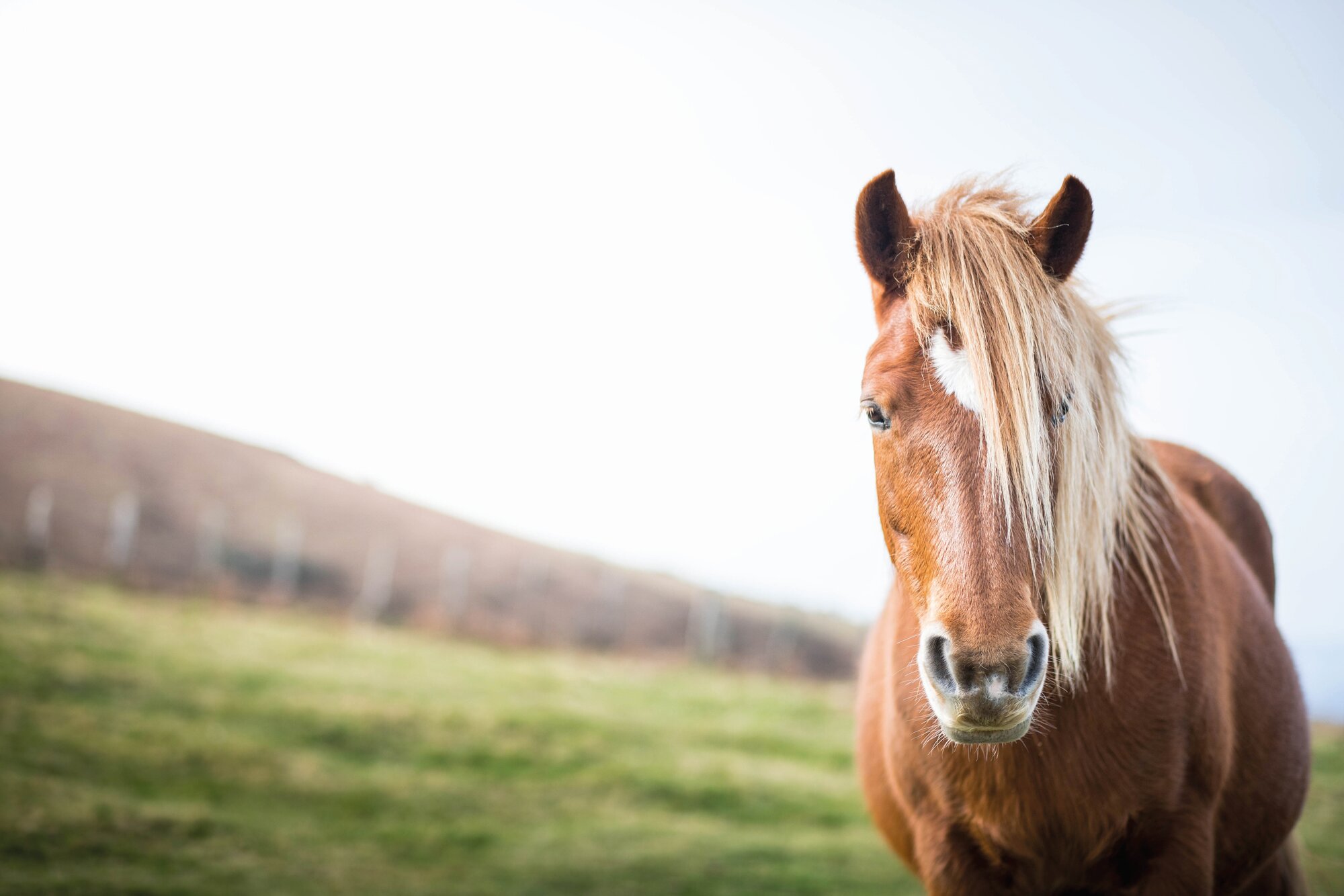 shutterstock_1664095234_01.jpg