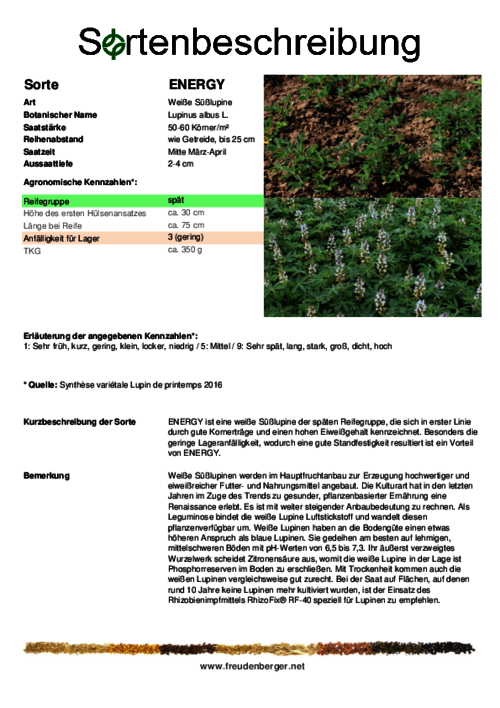 Sortenbeschreibung_ENERGY.pdf