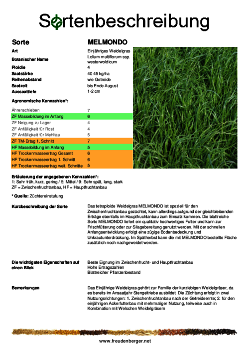 Sortenbeschreibung_MELMONDO.pdf