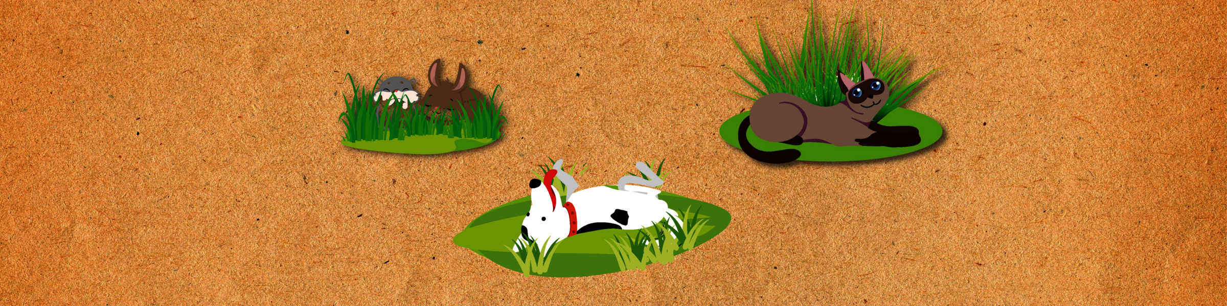 Startbild_Markenseite_PetNatura_mit_Hintergrund__120_x_30_cm__01.png
