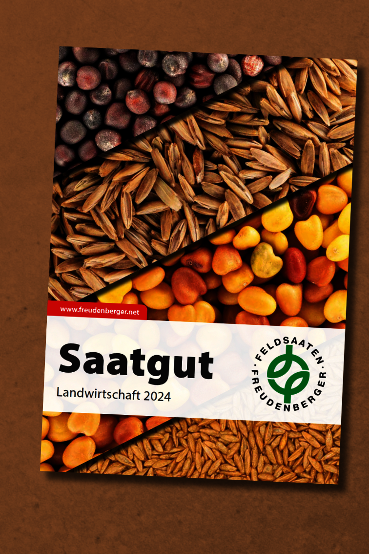 LW_Katalog_2024.png