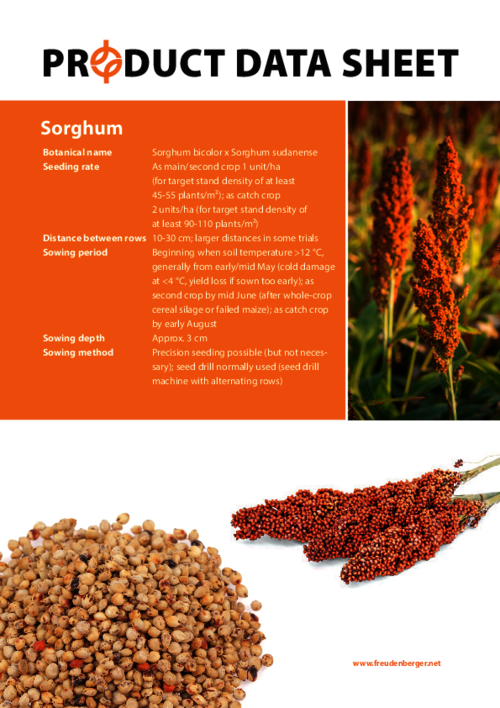 FF_Product_Data_Sheet_Sorghum.pdf