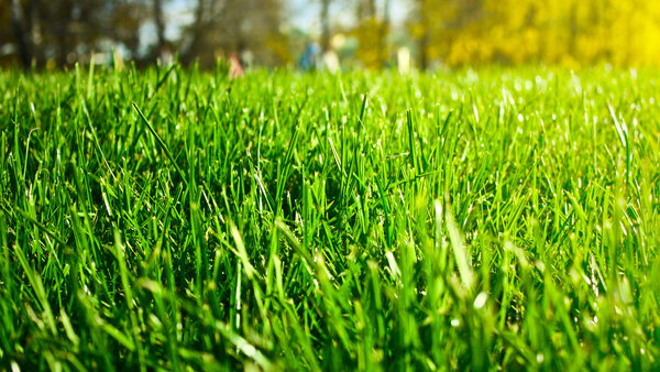 shutterstock_160405322.jpg