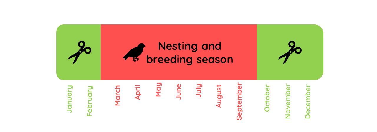 Nesting_and_breeding_season.png