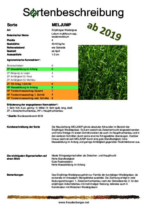 Sortenbeschreibung_MELJUMP.pdf