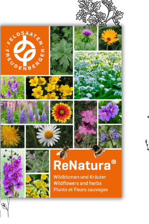 Header_News_ReNatura-Katalog_2026_ENG.png