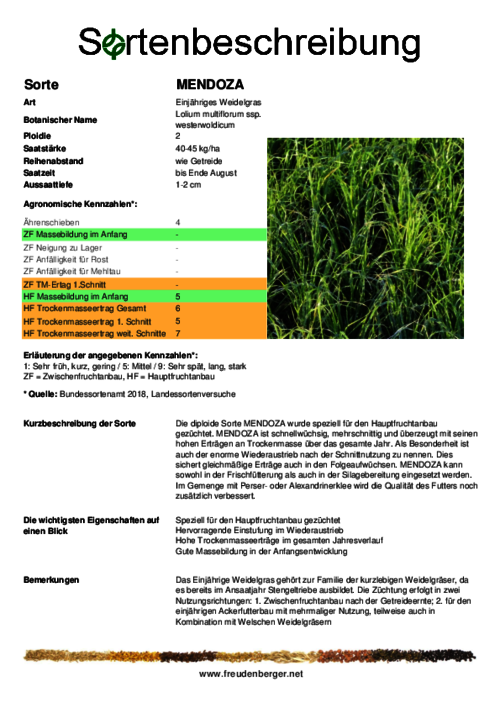 Sortenbeschreibung_MENDOZA.pdf