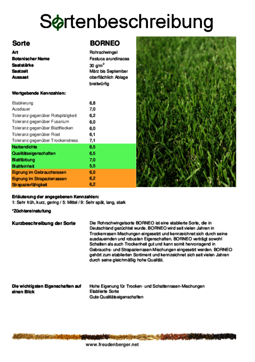 Sortenbeschreibung_BORNEO.pdf